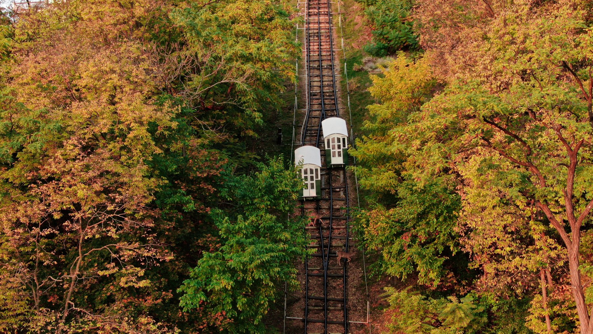 Fenelon Place Elevator Fall