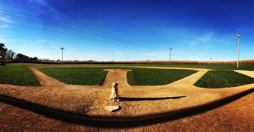 Field of Dreams HD Wallpapers and Backgrounds